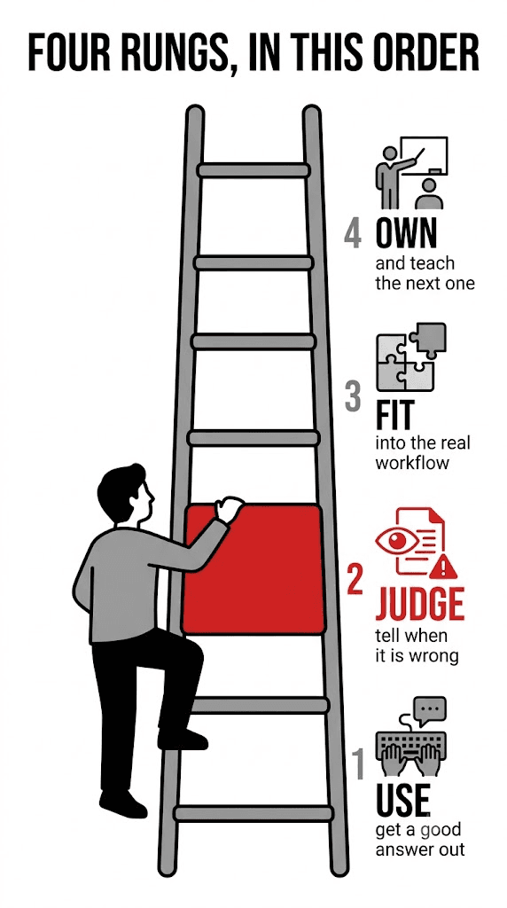 A four rung ladder being climbed: use, judge, fit and own. The second rung, judge, is drawn in red and is much wider and heavier than the others.